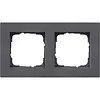 Gira 0212235 afdekraam 2-voudig E2 vlak antraciet mat