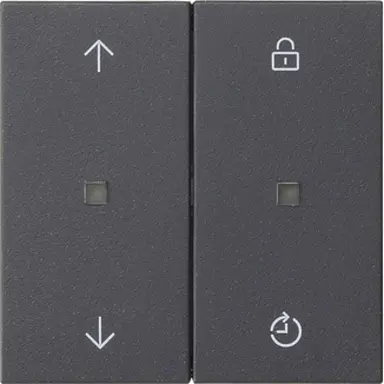 Gira 536328 Systeem 3000 Memory bedieningselement met pijlsymbolen Systeem 55 antraciet mat