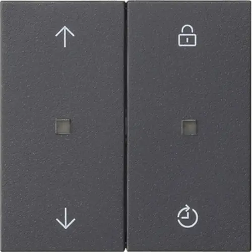 Gira 536328 Systeem 3000 Memory bedieningselement met pijlsymbolen Systeem 55 antraciet mat