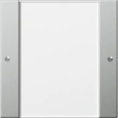 Gira 2131600 wppnst 1-voudig tekstkader Systeem 55 trnsp/edelstaal