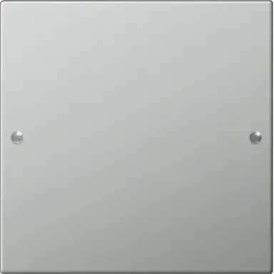 Gira 2131601 wppnst 1-voudig Systeem 55 edelstaal