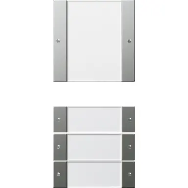 Gira 2134600 wppnst 2-voudig tekstkader Systeem 55 trnsp/edelstaal