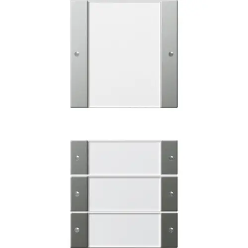 Gira 2134600 wppnst 2-voudig tekstkader Systeem 55 trnsp/edelstaal