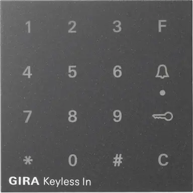 Gira 851328 opst codeklavier Systeem 55 antraciet