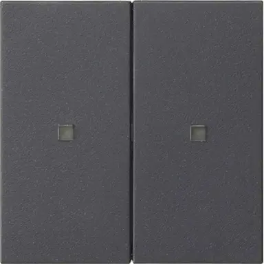 Gira 536928 Systeem 3000 wip 2-voudig Systeem 55 antraciet