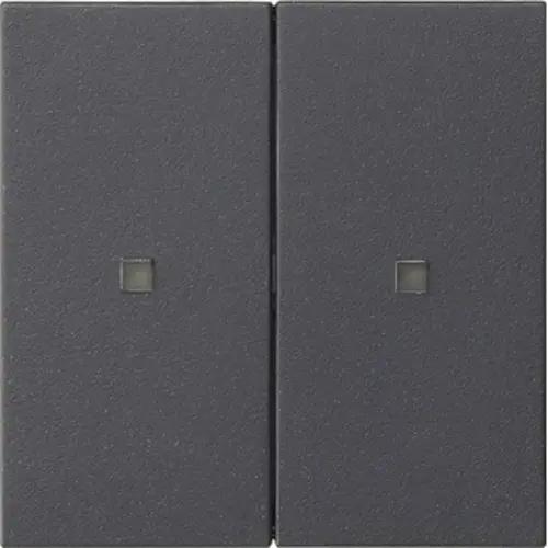 Gira 536928 Systeem 3000 wip 2-voudig Systeem 55 antraciet