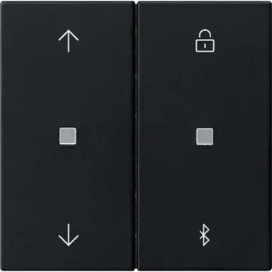 Gira 5367005 Systeem 3000 Bluetooth bedieningselement met pijlsymbolen Systeem 55 zwart mat