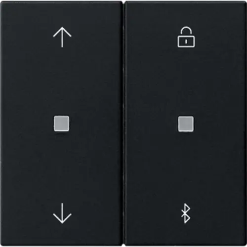 Gira 5367005 Bluetooth bedieningselement met pijlsymbolen Systeem 3000 Systeem 55 zwart mat