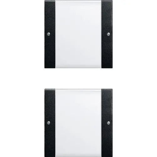 Gira 2132005 wipset 2-voudig tekstkader Systeem 55 zwart