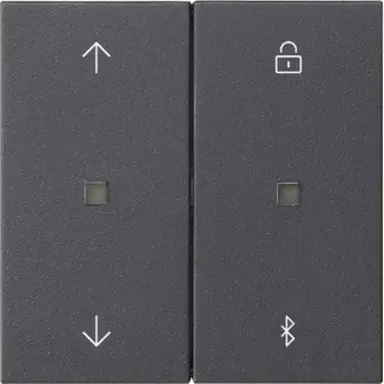 Gira 536728 Systeem 3000 Bluetooth bedieningselement met pijlsymbolen Systeem 55 antraciet mat