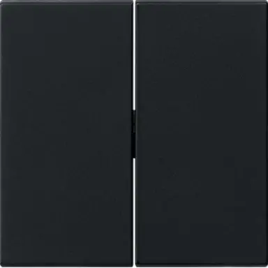 Gira 0295005 schakelwip 2-voudig Systeem 55 zwart mat oud model