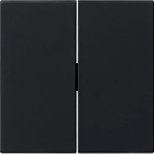 Gira 0295005 schakelwip 2-voudig Systeem 55 zwart mat oud model