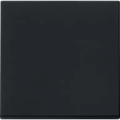 Gira 0296005 schakelwip Systeem 55 zwart mat oud model