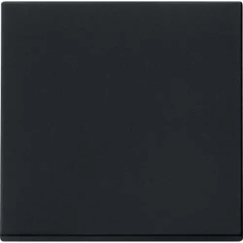 Gira 0296005 schakelwip Systeem 55 zwart mat oud model