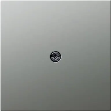 Gira 0274600 afdekking voor snoeraftakking Systeem 55 edelstaal