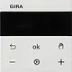 Gira 539403 Systeem 3000 thermostaatknop Bluetooth Systeem 55 wit glans