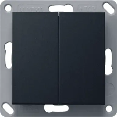 Gira 2462005 Bluetooth wandzender 2-voudig Systeem 55 zwart mat