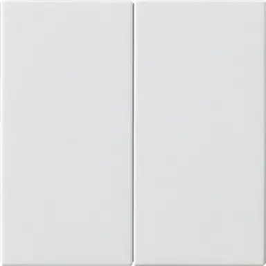 Gira 537003 losse 2-voudige reservewippen zonder opdruk voor Systeem 3000 bedieningselementen Systeem 55 wit glans