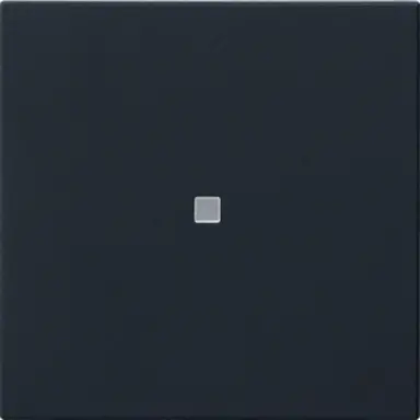 Gira 5371005 losse reservewip controlevenster voor Systeem 3000 bedieningselementen Systeem 55 zwart mat