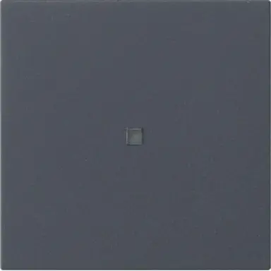 Gira 537128 losse reservewip controlevenster voor Systeem 3000 bedieningselementen Systeem 55 antraciet mat