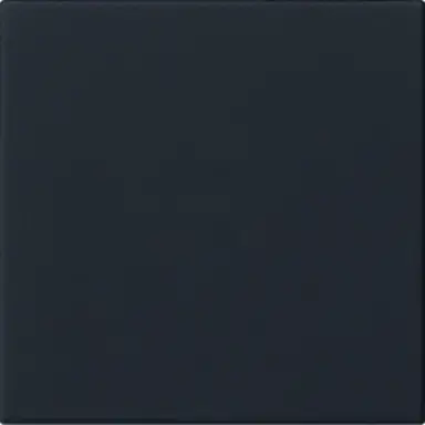 Gira 5372005 losse reservewip voor Systeem 3000 bedieningselementen Systeem 55 zwart mat