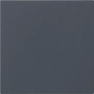 Gira 537228 losse reservewip voor Systeem 3000 bedieningselementen Systeem 55 antraciet mat