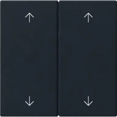 Gira 5387005 losse 2-voudige reservewippen pijlen voor Systeem 3000 bedieningselementen Systeem 55 zwart mat