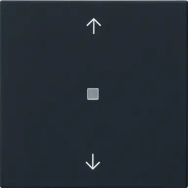 Gira 5388005 losse reservewip controlevenster pijlen voor Systeem 3000 bedieningselementen Systeem 55 zwart mat