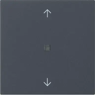 Gira 538828 losse reservewip controlevenster pijlen voor Systeem 3000 bedieningselementen Systeem 55 antraciet mat