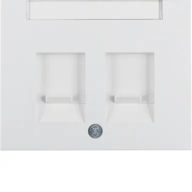 Berker 11827009 centraalplaat modular jack 2-voudig K1 wit