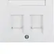 Berker 11827009 centraalplaat modular jack 2-voudig K1 wit