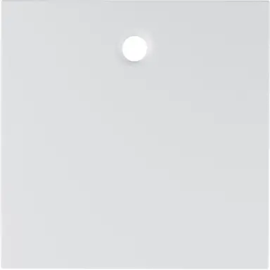 Berker 11461909 centraalplaat trekschakelaar S1/B1/B7 wit mat