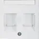 Berker 11818989 centraalplaat modular jack 2-voudig S1/B3/B7 wit glans