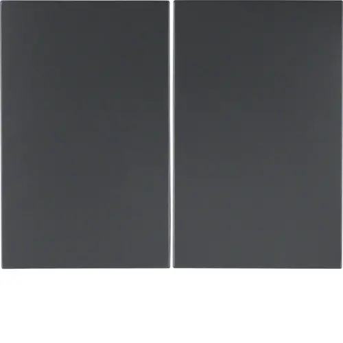 Berker 14357006 schakelwip 2-voudig K1 antraciet