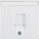 Berker 11706089 centraalplaat modular jack 1-voudig Q1/Q3/Q7 wit