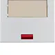 Berker 14967003 schakelwip groot tekstkader controlevenster K5 aluminium