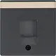 Berker 11706086 centraalplaat modular jack 1-voudig Q1/Q3/Q7 antraciet