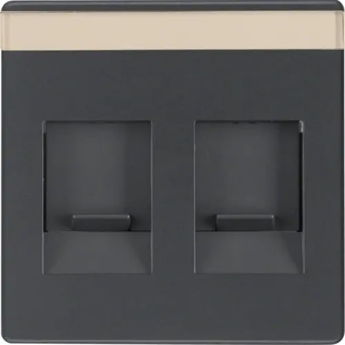 Berker 11816086 centraalplaat modular jack 2-voudig Q1/Q3/Q7 antraciet