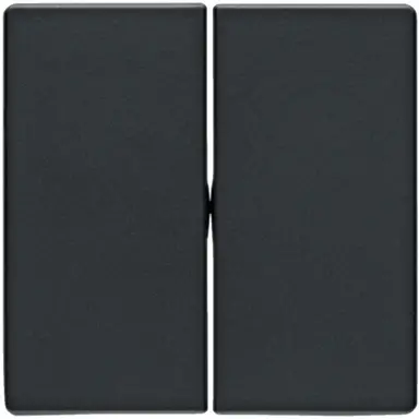 Berker 16236086 schakelwip 2-voudig Q1/Q3/Q7 antraciet