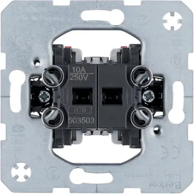 Berker 503503 serie pulsdrukker 2x maakcontact 2x ingang 10A met spreidklemmen