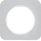 Berker 10112174 afdekraam 1-voudig R1 aluminium wit