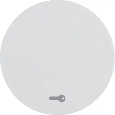 Berker 16202059 schakelwip symbool deur R1/R3/R8 wit