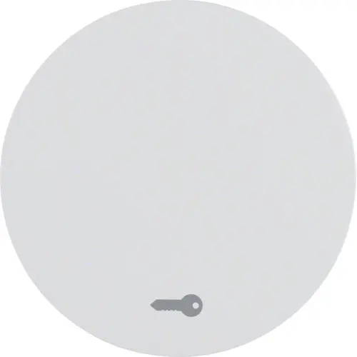 Berker 16202059 schakelwip symbool deur R1/R3/R8 wit