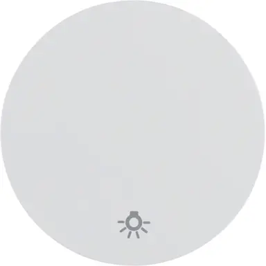 Berker 16202079 schakelwip symbool licht R1/R3/R8 wit