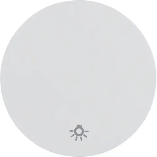 Berker 16202079 schakelwip symbool licht R1/R3/R8 wit