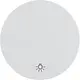 Berker 16202079 schakelwip symbool licht R1/R3/R8 wit