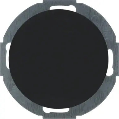 Berker 10092035 blinddeksel incl. draagframe R.Classic zwart
