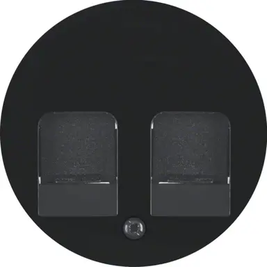 Berker 11812045 centraalplaat modular jack 2-voudig R1/R3/R8 zwart