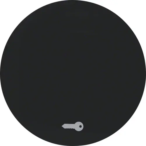 Berker 16202015 schakelwip symbool deur R1/R3 zwart