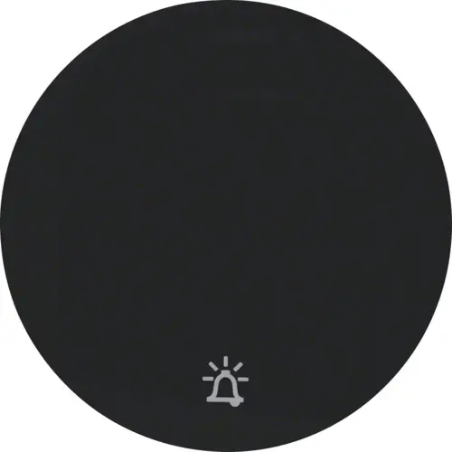 Berker 16202025 schakelwip symbool bel R1/R3 zwart